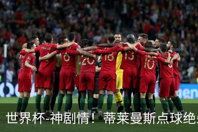 世界杯-神剧情！蒂莱曼斯点球绝杀 比利时加时3-2塞内加尔