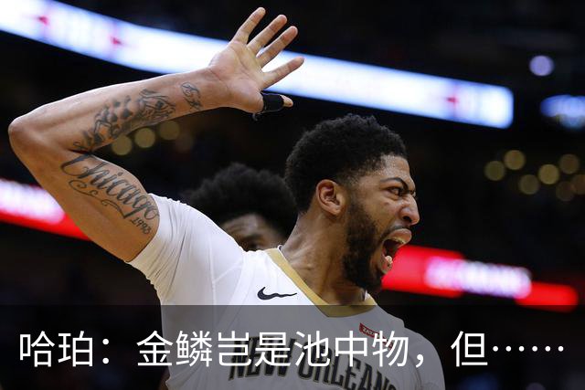 哈珀：金鳞岂是池中物，但……
