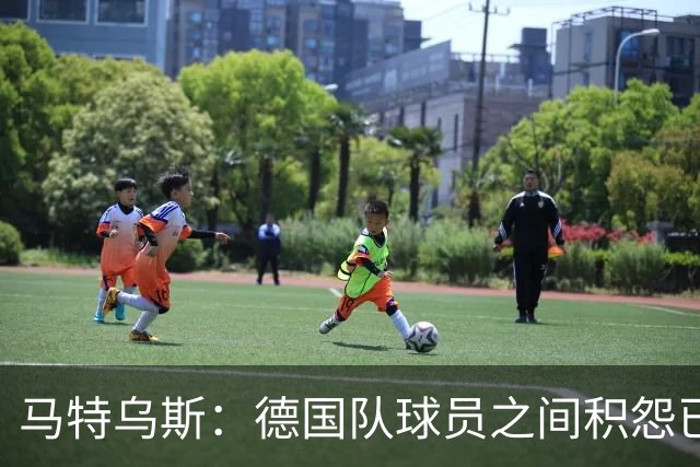 马特乌斯：德国队球员之间积怨已久 一些人的家人可以享受特权